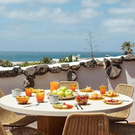 Canaryislandshost I Nexo Willa *